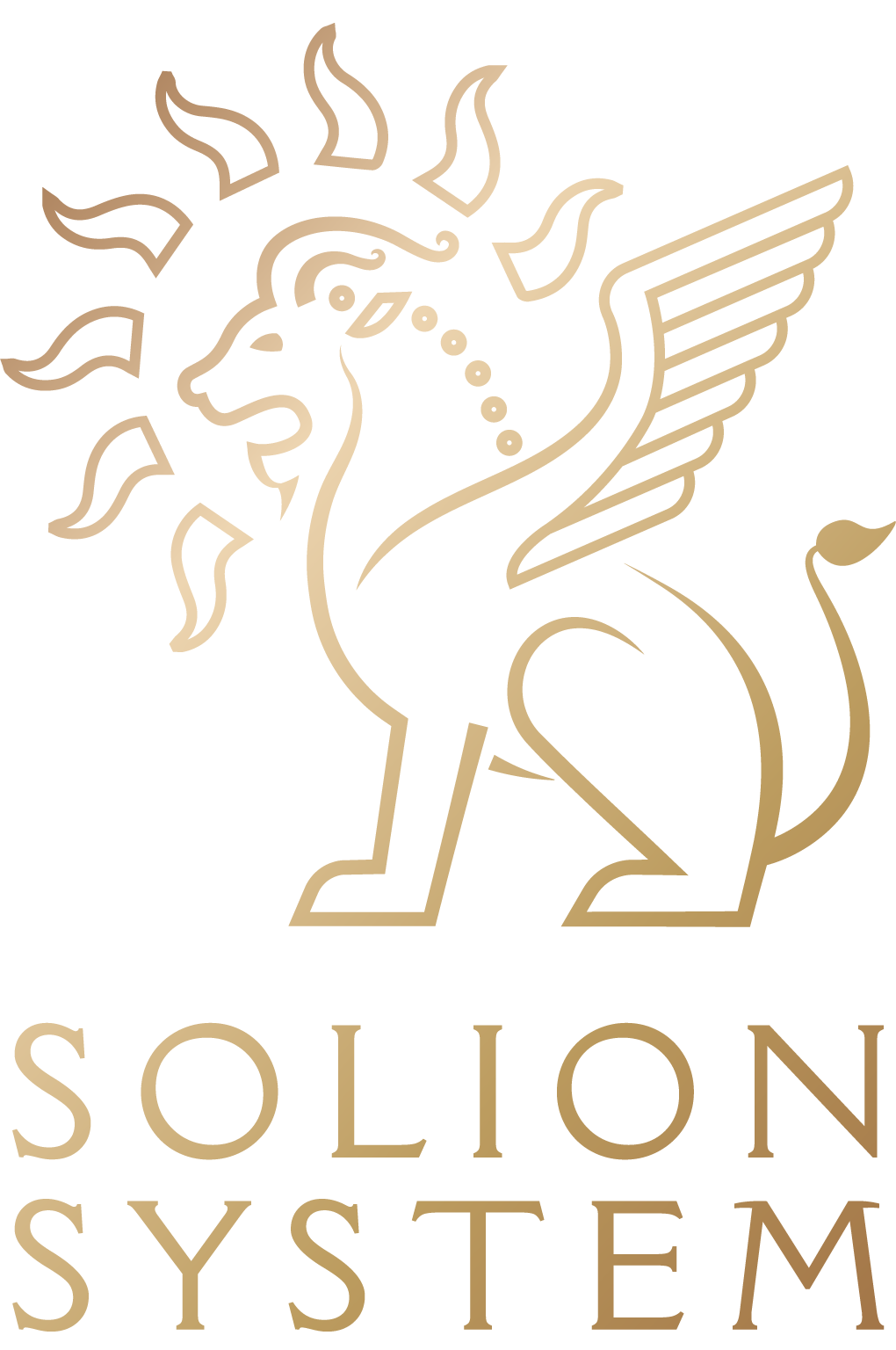 Solion System